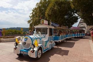 sorties Petit train de Pau