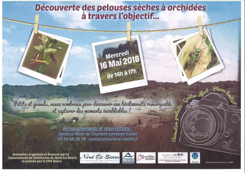 Sorties orchidées le 16 mai 2018