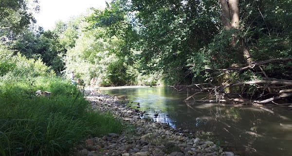 La rivière le Lèès à 50m